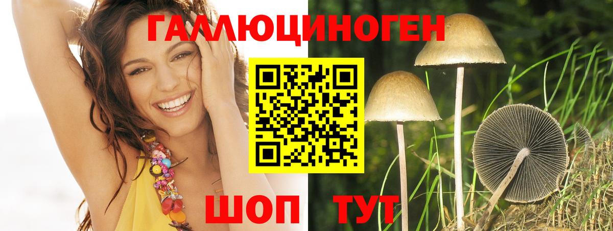 Галлюциногенные грибы мухоморы  Вход с VPN  Менделеевск 